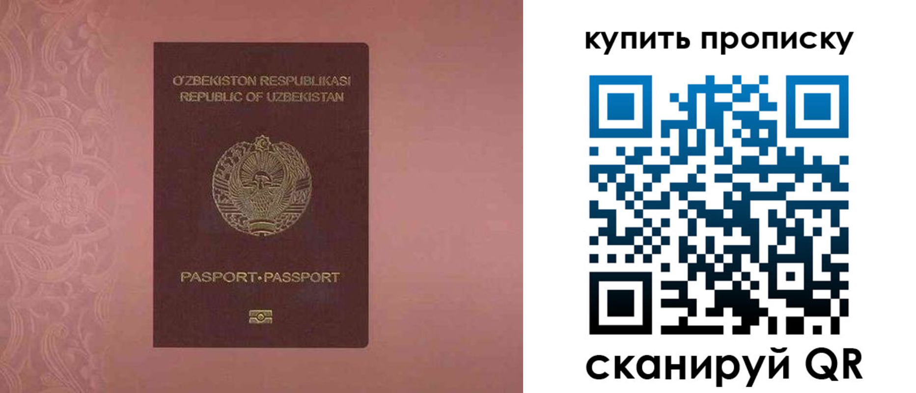 прописка иностранных граждан в Камчатской области